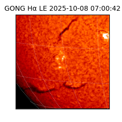 gong - 2025-10-08T07:00:42