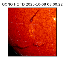 gong - 2025-10-08T08:00:22