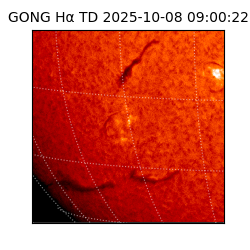 gong - 2025-10-08T09:00:22