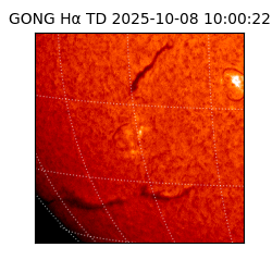 gong - 2025-10-08T10:00:22