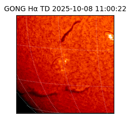 gong - 2025-10-08T11:00:22