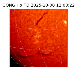 gong - 2025-10-08T12:00:22