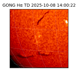 gong - 2025-10-08T14:00:22