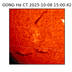 gong - 2025-10-08T15:00:42