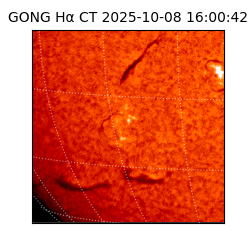 gong - 2025-10-08T16:00:42