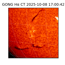 gong - 2025-10-08T17:00:42