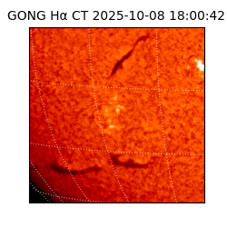 gong - 2025-10-08T18:00:42