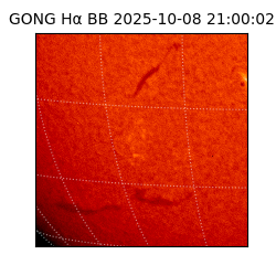 gong - 2025-10-08T21:00:02