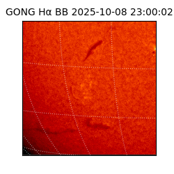 gong - 2025-10-08T23:00:02