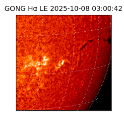 gong - 2025-10-08T03:00:42