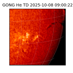 gong - 2025-10-08T09:00:22