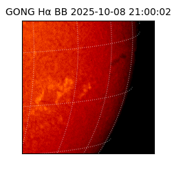 gong - 2025-10-08T21:00:02