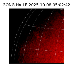 gong - 2025-10-08T05:02:42