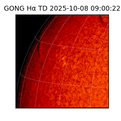 gong - 2025-10-08T09:00:22