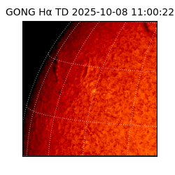 gong - 2025-10-08T11:00:22