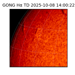 gong - 2025-10-08T14:00:22