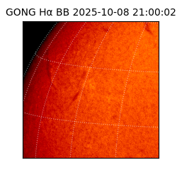 gong - 2025-10-08T21:00:02