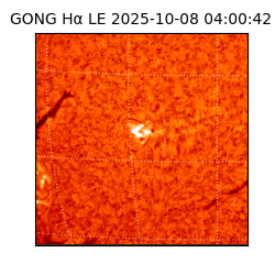 gong - 2025-10-08T04:00:42