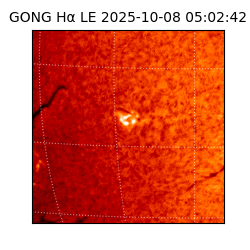 gong - 2025-10-08T05:02:42