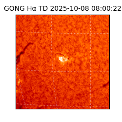 gong - 2025-10-08T08:00:22