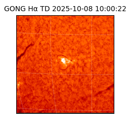 gong - 2025-10-08T10:00:22