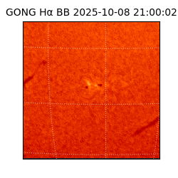 gong - 2025-10-08T21:00:02