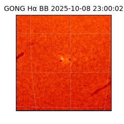 gong - 2025-10-08T23:00:02