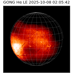gong - 2025-10-08T02:05:42