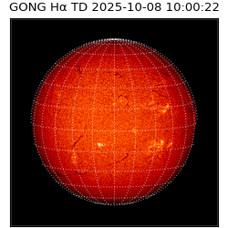gong - 2025-10-08T10:00:22
