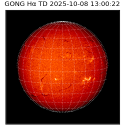 gong - 2025-10-08T13:00:22