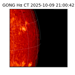 gong - 2025-10-09T21:00:42