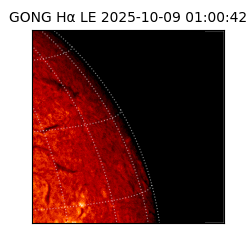 gong - 2025-10-09T01:00:42