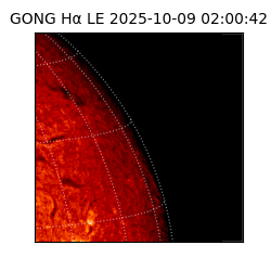 gong - 2025-10-09T02:00:42