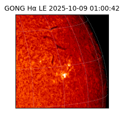 gong - 2025-10-09T01:00:42