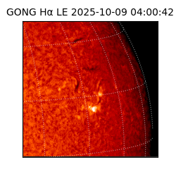 gong - 2025-10-09T04:00:42