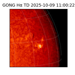gong - 2025-10-09T11:00:22