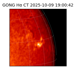 gong - 2025-10-09T19:00:42