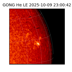 gong - 2025-10-09T23:00:42