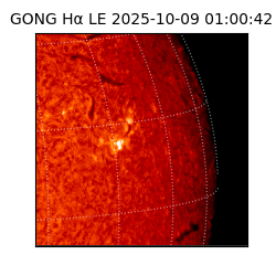 gong - 2025-10-09T01:00:42