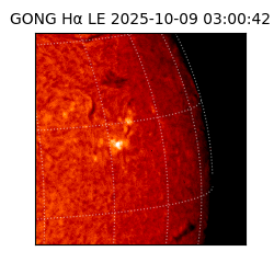 gong - 2025-10-09T03:00:42