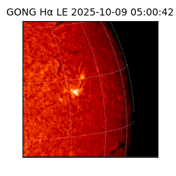 gong - 2025-10-09T05:00:42
