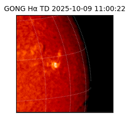 gong - 2025-10-09T11:00:22