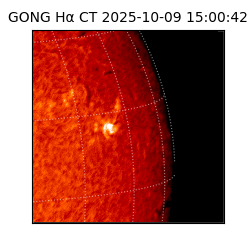 gong - 2025-10-09T15:00:42