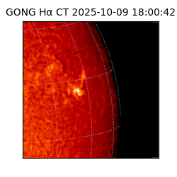 gong - 2025-10-09T18:00:42