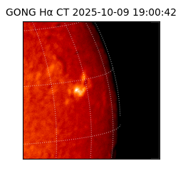 gong - 2025-10-09T19:00:42