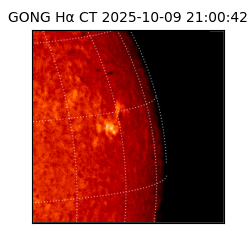 gong - 2025-10-09T21:00:42