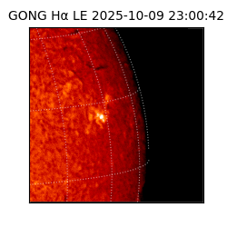 gong - 2025-10-09T23:00:42