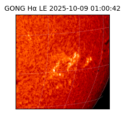 gong - 2025-10-09T01:00:42