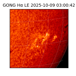 gong - 2025-10-09T03:00:42
