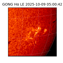 gong - 2025-10-09T05:00:42